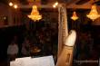 Go to gallery ->